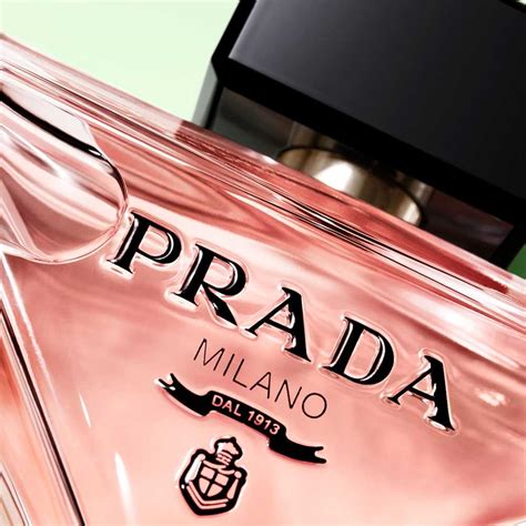 profumo nuovo prada|Paradoxe .